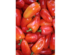 Перець Капія